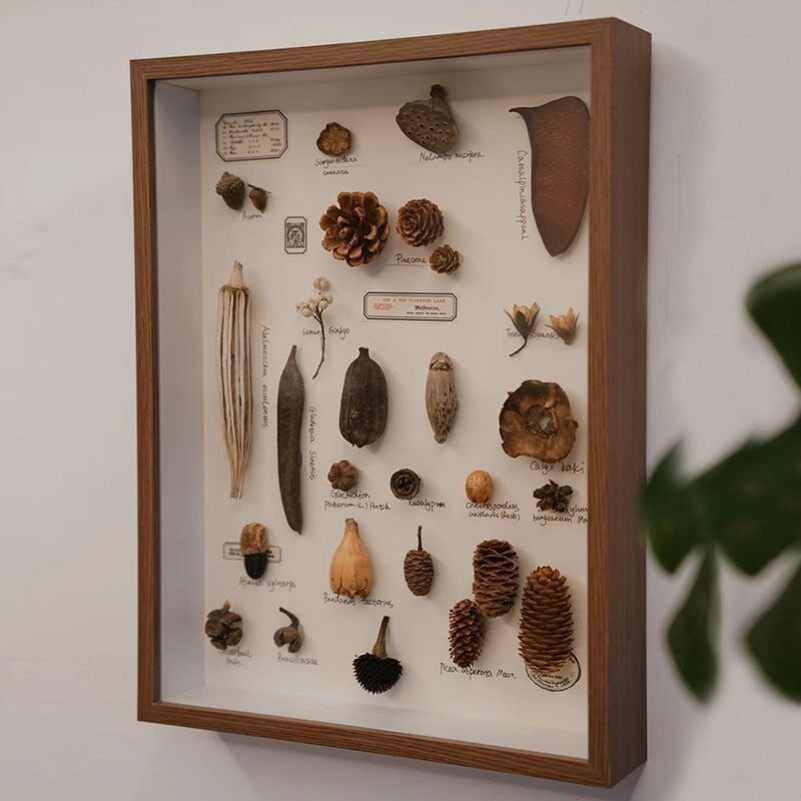 diy手工相框立体中空标本框贝壳石头植物干花收藏保存展示画框架