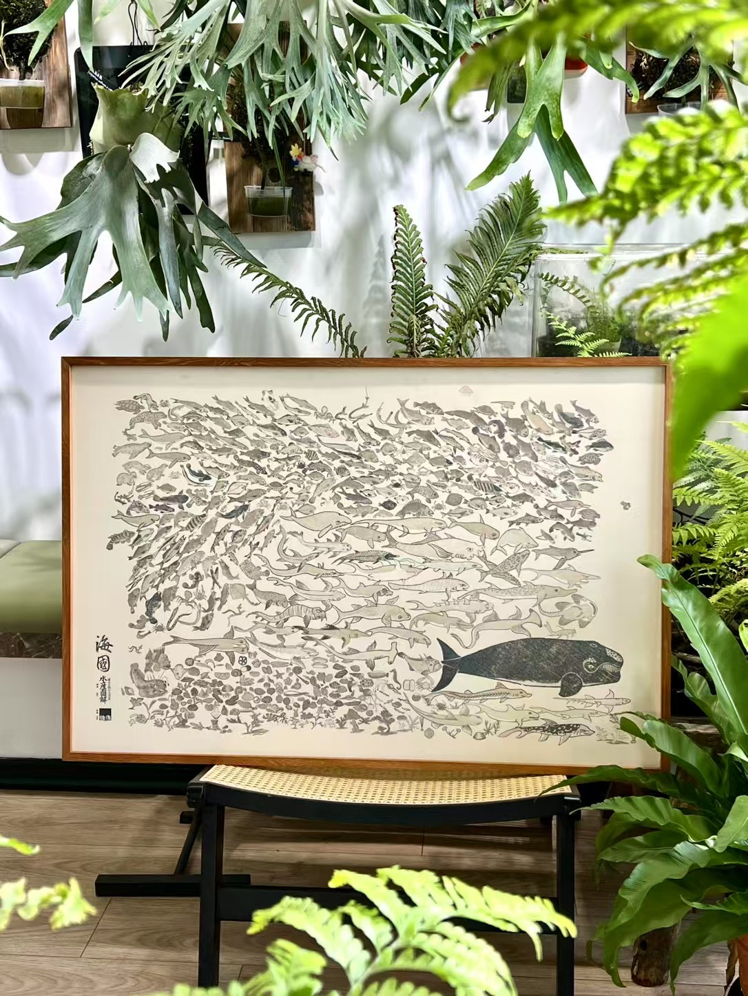 小众艺术周边 水产图鉴挂画 很多鱼 装饰画 miscLab图片