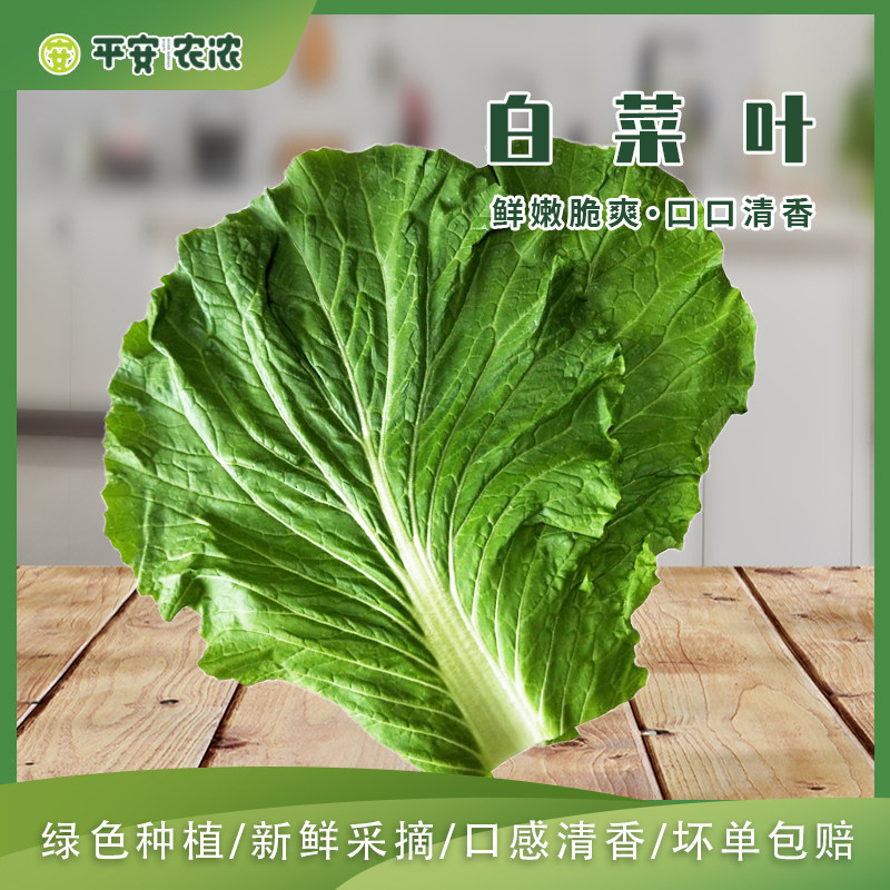 鲜大白菜叶东北农家蔬菜包饭包白菜叶子蘸酱菜现摘现发20片在类目 水产肉类/新鲜蔬果/熟食, 新鲜蔬菜/蔬菜制品, 新鲜蔬菜, 其它中 - 来自Buy2taobao.com提供专业的淘宝代购服务