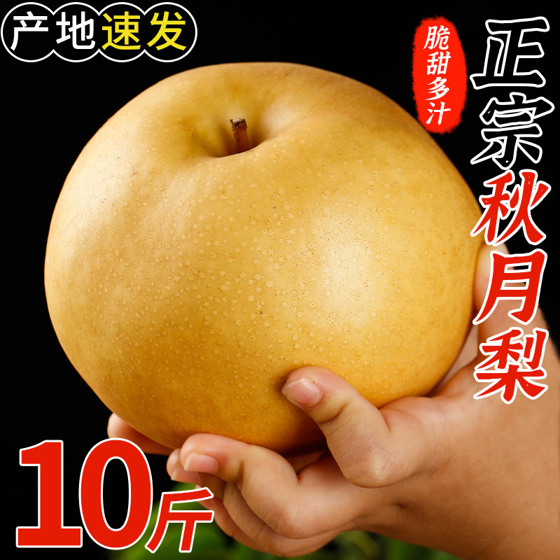 正宗山东秋月梨10斤装新鲜水果当季整箱脆甜黄花生梨冰糖梨子包邮属于什么档次？