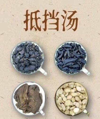 抵挡汤  抵当汤中药材原料水蛭桃仁大黄牛虻可加减