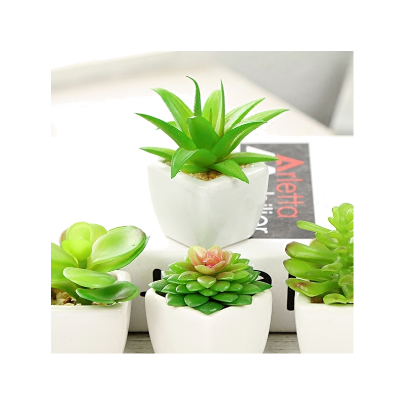 小植物摆件多肉盆景装饰品假花