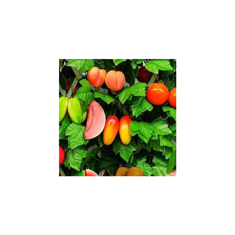 蔬菜水果室内装饰葫芦管道葡萄叶