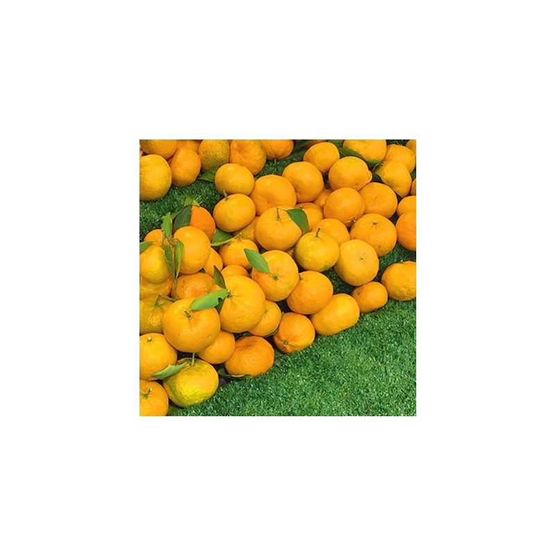 绿色超市生鲜果蔬用品草坪垫子