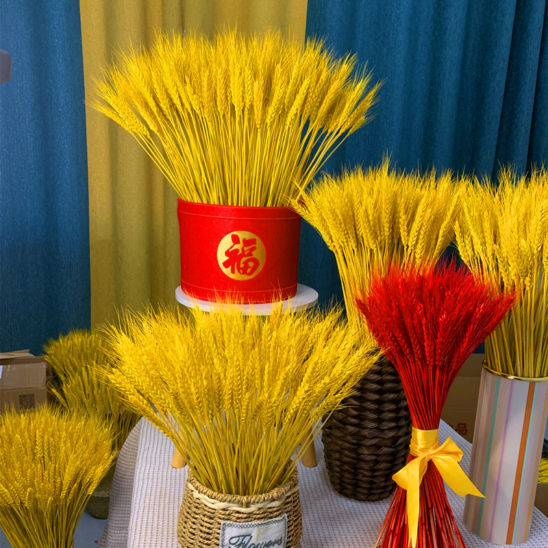 麦穗干花 小麦子花束 开业大麦田园装饰礼品拍摄道具天然植物装饰