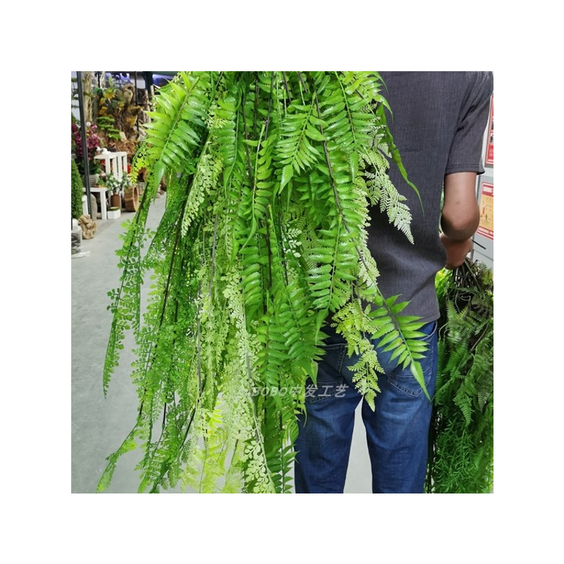 垂吊蕨类墙壁管道藤条仿真绿植