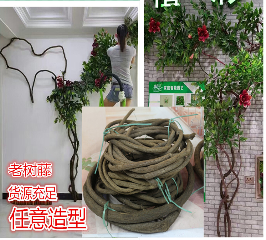 树藤枯藤门头装饰藤吊顶装饰藤加粗干树藤山藤条藤蔓墙壁装饰
