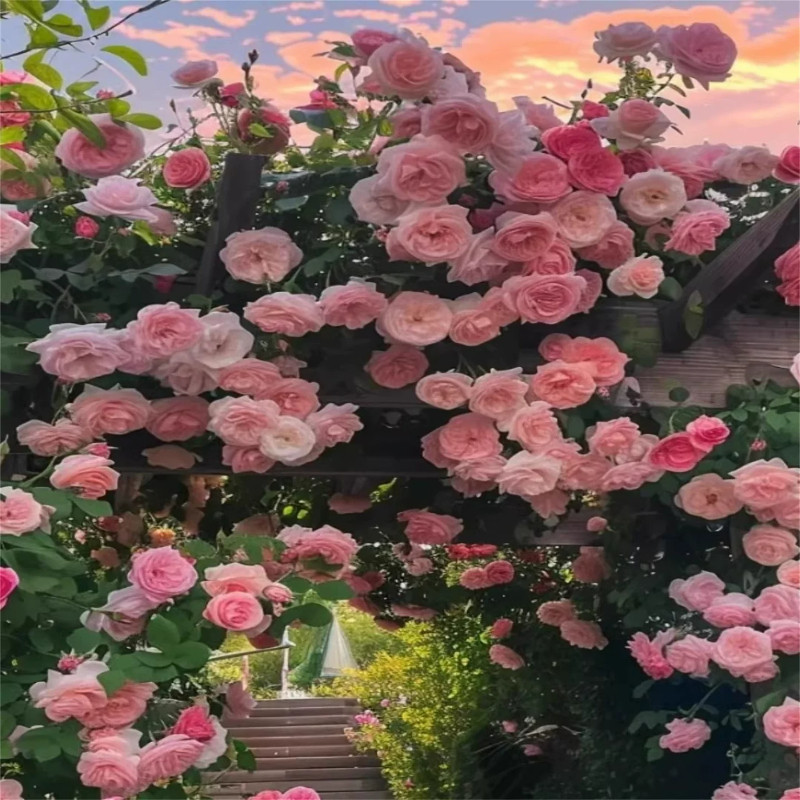 仿真玫瑰藤条管道遮挡装饰花