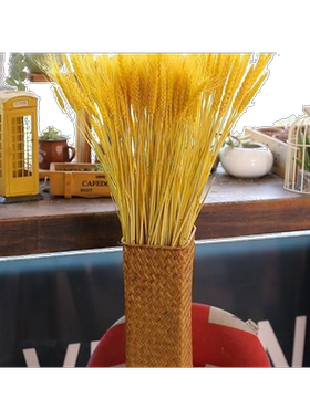 干小麦插花麦穗天然麦子饰品花瓶