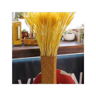 干小麦插花麦穗天然麦子现代花瓶干的装饰物饰品面包店面包卡片