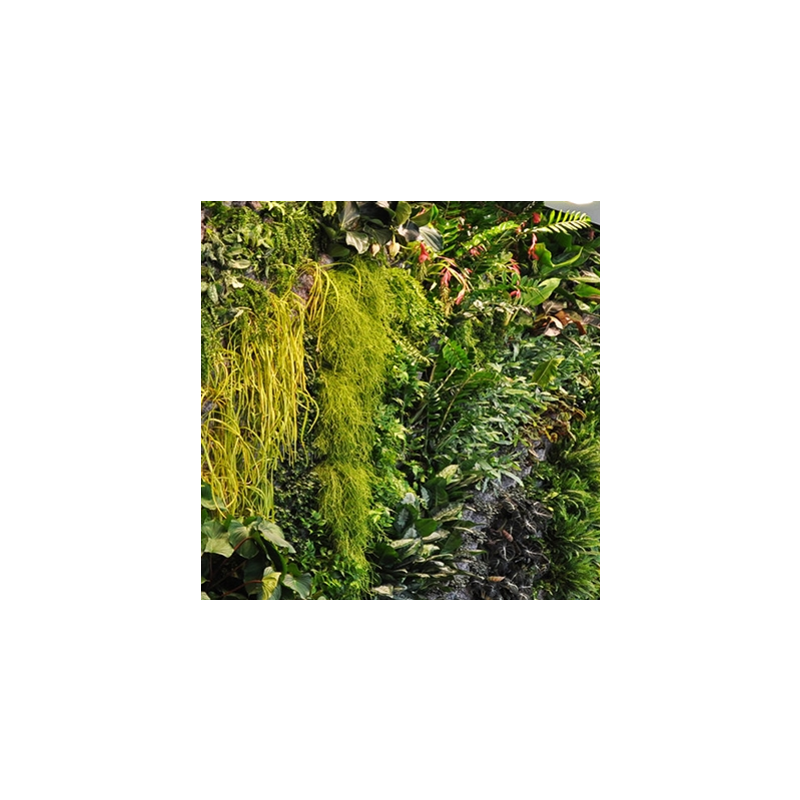 绿之韵植物墙单支田园风新款叶子