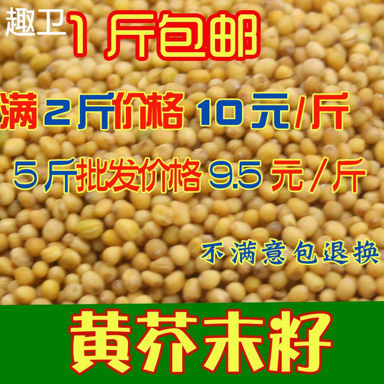 芥末籽粒 500g芥菜子芥辣菜籽干净黄芥末粉籽黄介籽 Mustard seed