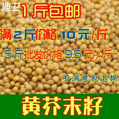 芥末籽粒 500g芥菜子芥辣菜籽干净黄芥末粉籽黄介籽 Mustard seed