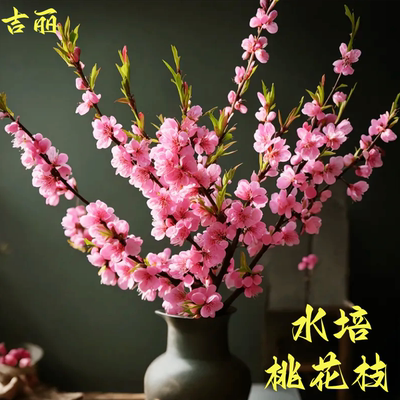 【带花苞发货】桃花干枝鲜枝水培