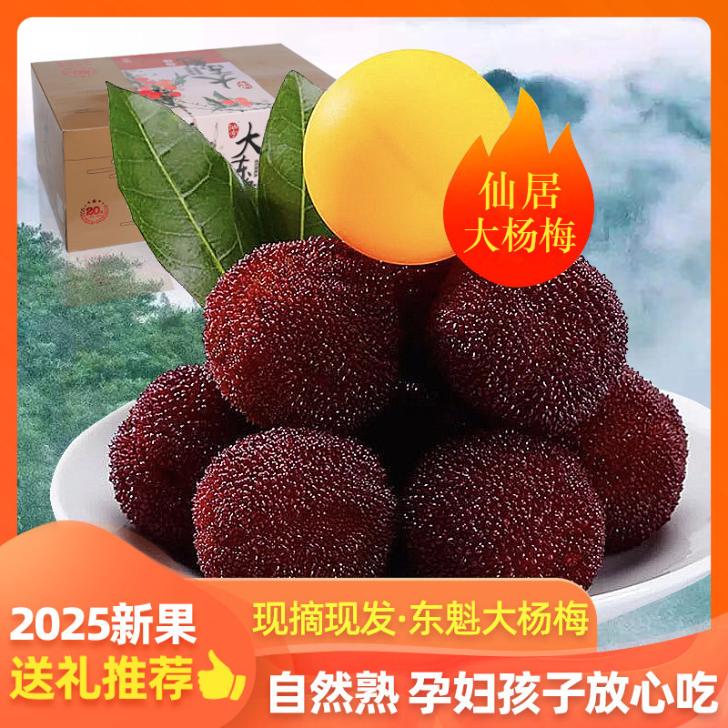 顺丰空运杨梅新鲜水果正宗仙居东魁大杨梅现摘现发端午节送礼品盒