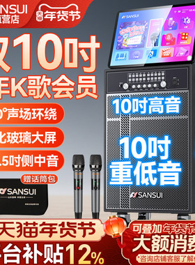 山水TD107户外K歌音响广场舞音箱带显示屏家庭KTV卡拉OK一体机