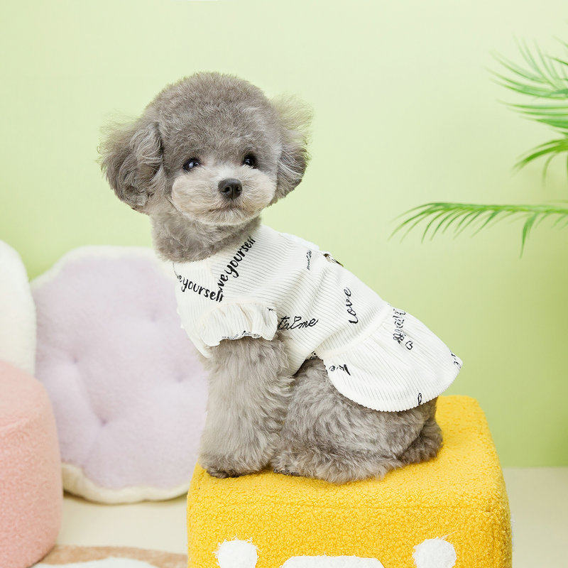 宠物衣服狗狗小型犬泰迪带牵引绳服装猫咪比熊博美柯基春夏季裙子