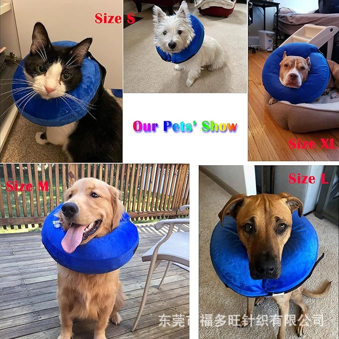 现货宠物项圈狗脖防咬圈