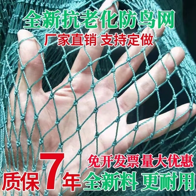 聚乙烯鱼塘防鸟网围栏网养鸡网