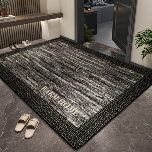 入户门地垫新款家用简约高级感客厅玄关门口地毯耐脏免洗进门脚垫