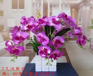 草绿3d蝴蝶兰花瓶装塑料娟花白色餐厅紫色跳舞兰叶片超真