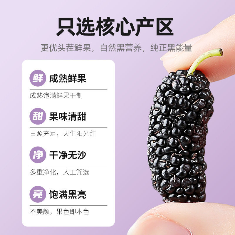 杞里香黑桑葚干攀枝花手选大果无熏硫免洗桑葚瓶装250g新货桑葚果