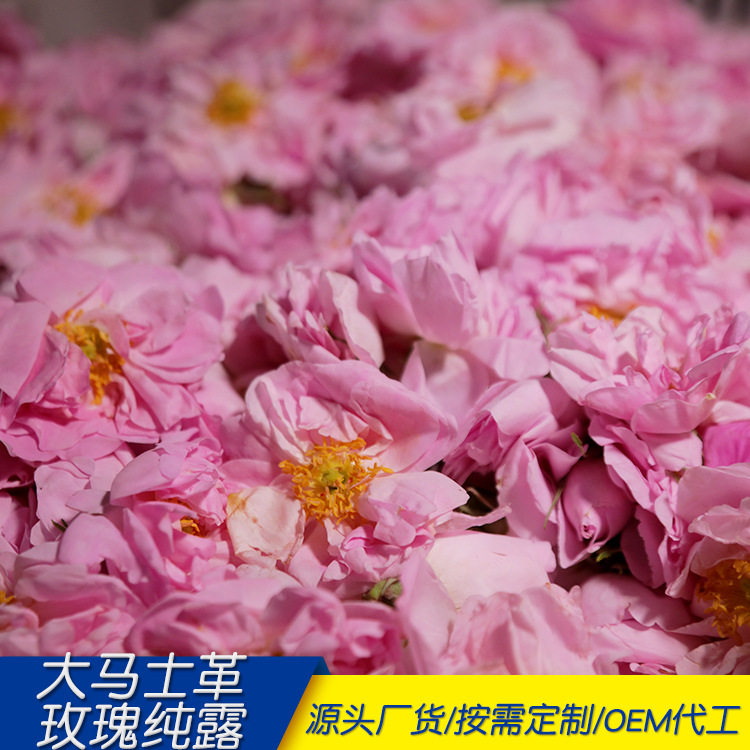 花之言厂家大马士革玫瑰纯露原料 补水保湿 天然精油玫瑰纯露