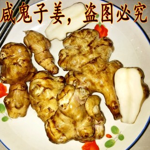 1300克 东北野生酱菜咸菜咸洋姜咸鬼子姜鬼头姜姜不辣咸菊芋酱咸