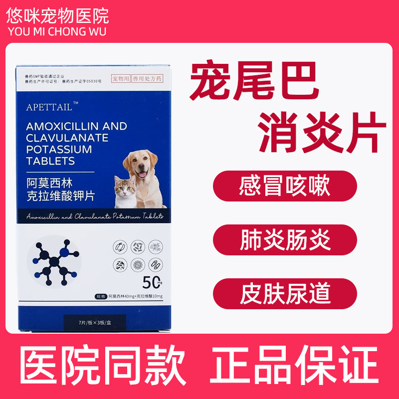 联邦动保阿莫西林克拉维酸钾片宠物猫咪狗狗鼻支感冒流鼻涕打喷嚏,宠物/宠物食品及用品,猫呼吸道疾病药品,淘宝优惠券,粉丝福利购,淘宝优惠卷