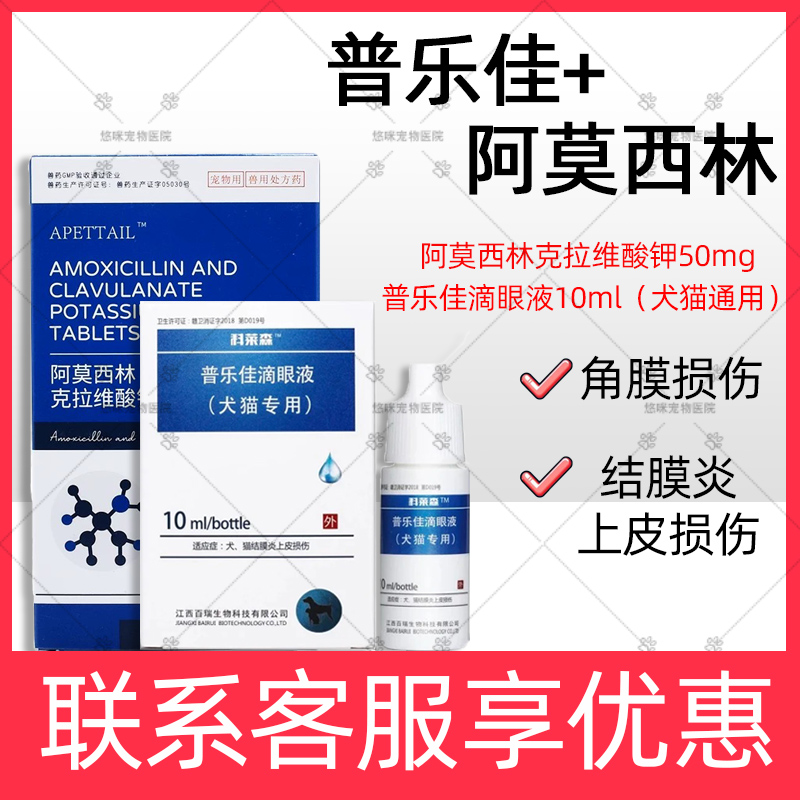 科莱森普乐佳滴眼液犬猫通用