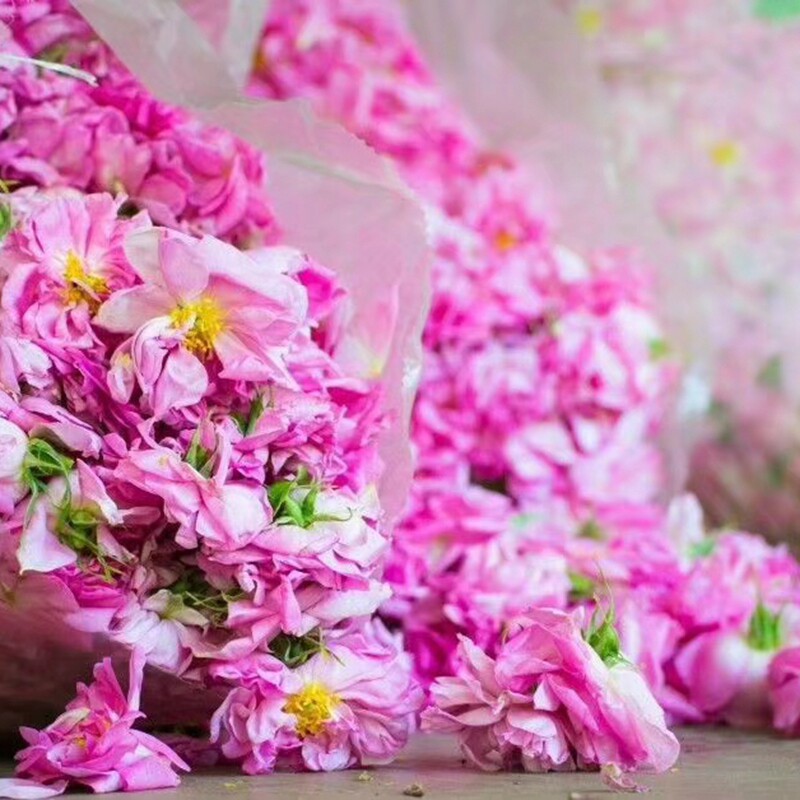 经典叙利亚玫瑰纯露玫瑰水500ml补水提亮白皙嫩肤晒后修护红血丝