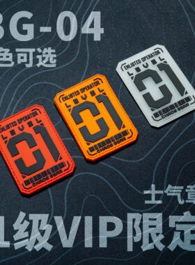 混沌装备 新晋干员 BG-04 VIP限定士气章 机能战术