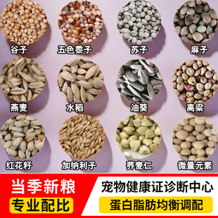 医顿鹦鹉鸟粮饲料虎皮牡丹玄凤专用粮鸟食混合粮种子小太阳和尚粮