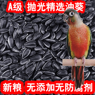 鹦鹉瓜子油葵仓鼠鸟粮专用饲料奖励零食黑珍珠小太阳种子金丝熊粮