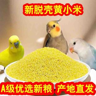 蛋小米鹦鹉鸟粮断奶期繁殖专用鸟食饲料脱壳黄谷子虎皮文鸟玉鸟粮