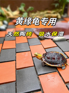 黄缘龟专用造景砖黄缘乌龟垫材半水龟缸龟箱造景装 饰小砖保湿