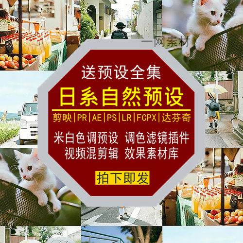 日系自然预设PS滤镜PR调色LR剪映FCPX达芬奇LUT插件剪辑视频素材