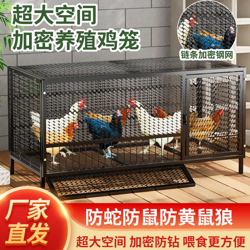 鸡笼子家用室外大号方管密网防雨农村芦丁自动清粪养殖笼防黄鼠狼
