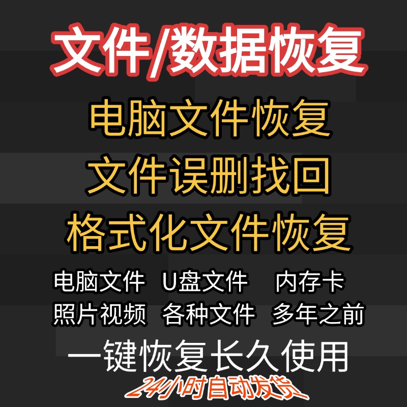 电脑数据恢复软件回收站U盘文件修工具硬盘视频图误删格式化找回