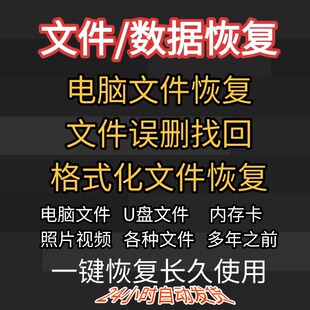 电脑数据恢复软件回收站U盘文件修工具硬盘视频图误删格式化找回