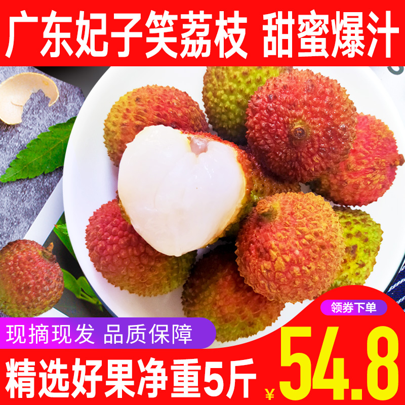 【顺丰包邮】妃子笑荔枝 新鲜应季水果当季荔枝整箱5斤装包邮批发