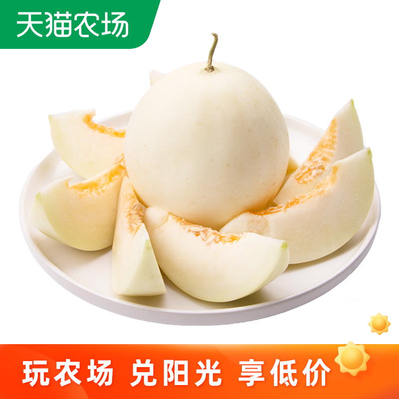 陕西阎良甜瓜 新鲜水果当季甜瓜应季白皮甜瓜整箱9斤装包邮批发甜