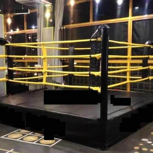 拳击台散打擂台简易八角笼搏击拳击擂台比赛标准落地拳台