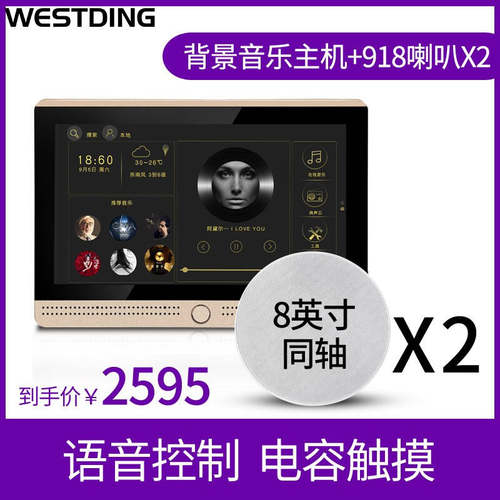 威斯汀9家庭背景音乐主机系统套装 家庭影院音响组合 吸