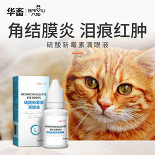 角膜炎 硫酸新霉素滴眼液猫用消炎狗猫咪眼睛发炎流泪眼药水宠物版