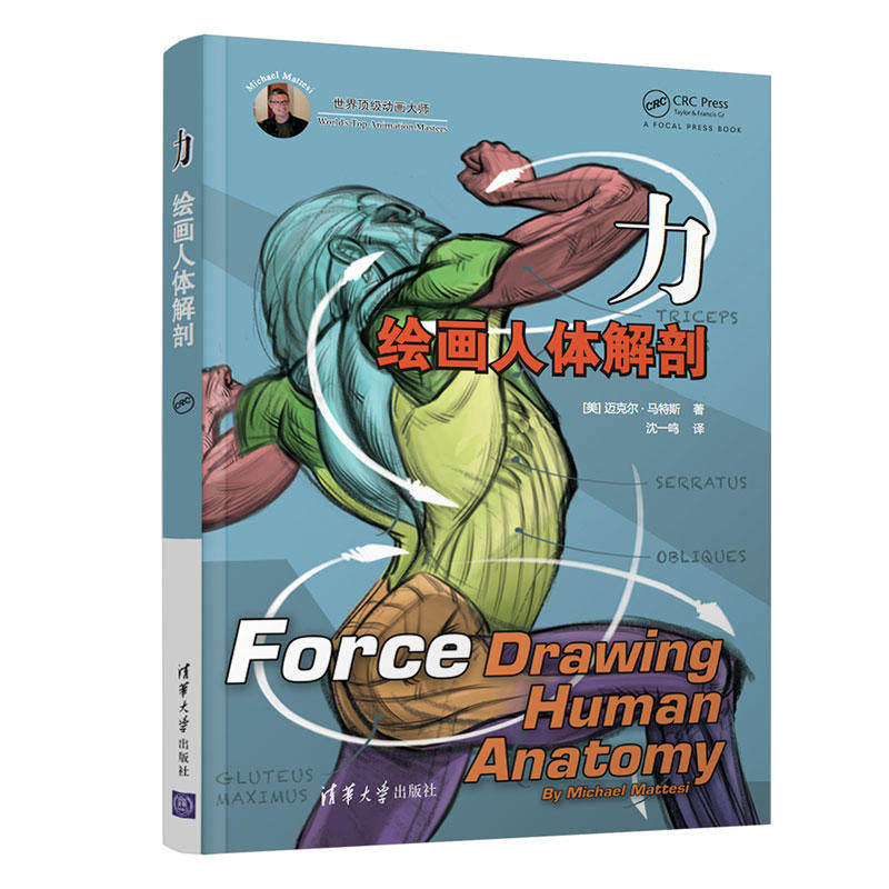 力 绘画人体解剖 迈克尔马特斯 动画艺用人体解剖指南角色力量感诀窍