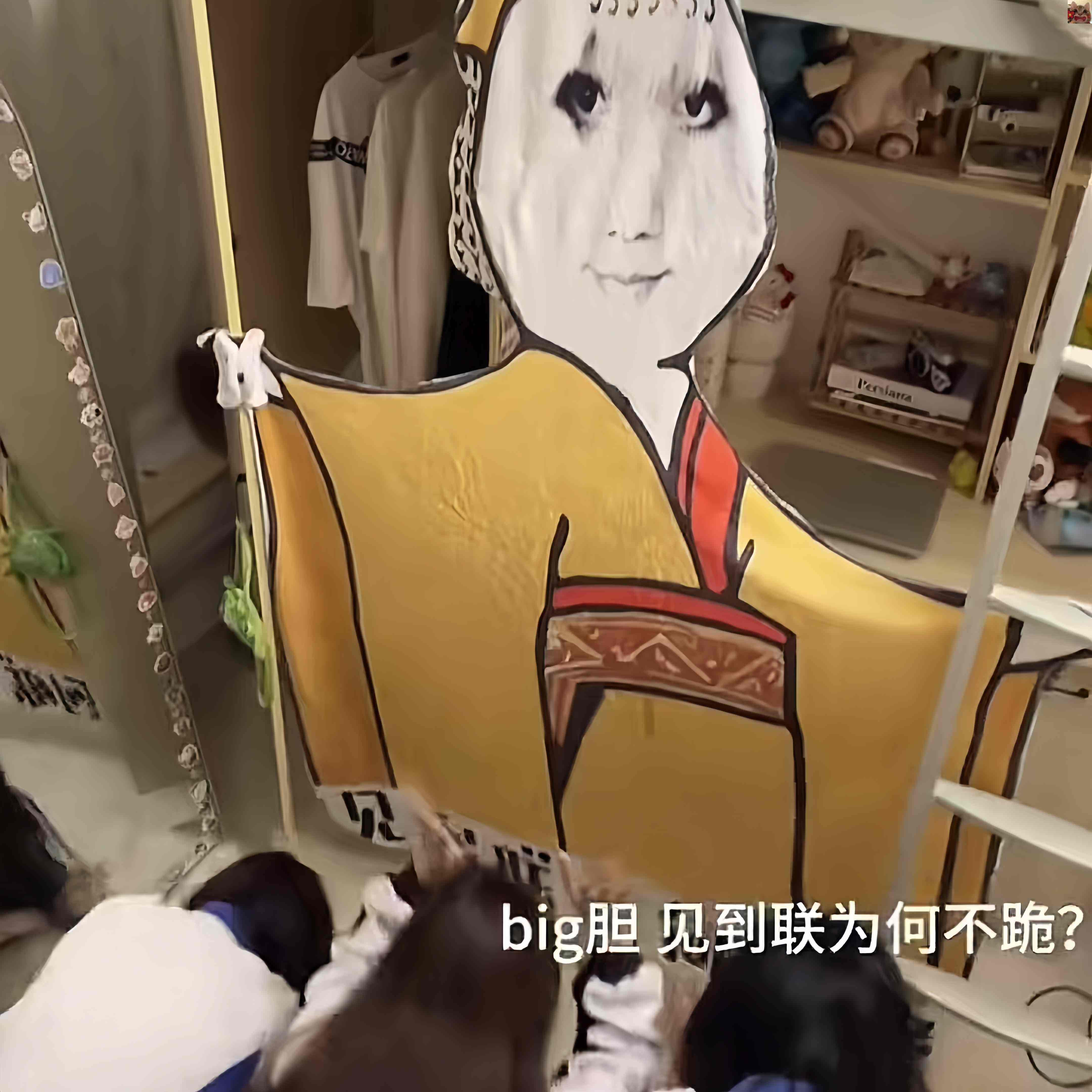 夏季空调毯龙图见朕为何