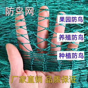 尼龙防鸟网大棚果园果树防鸟用网养殖天网防鸟葡萄园种植鱼塘防鸟