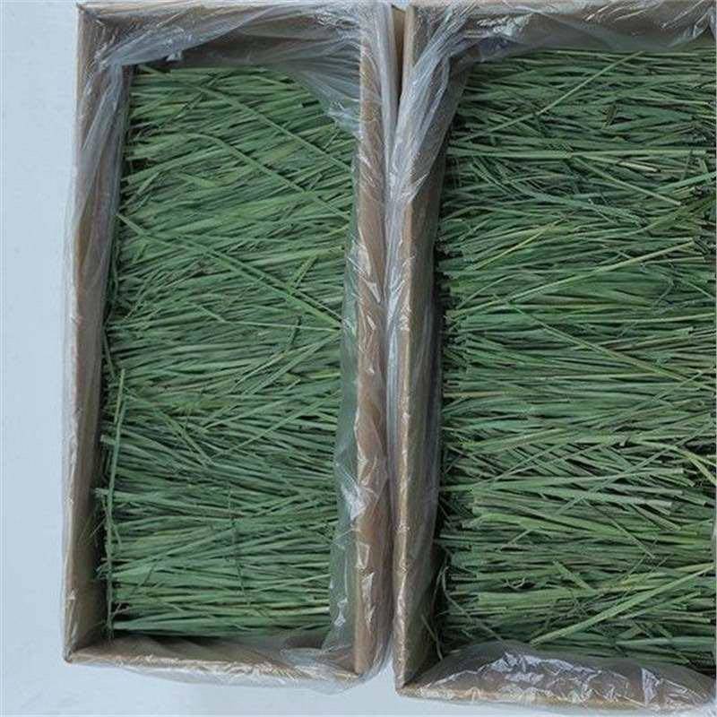 23年烘干提摩西草干草北提毛重1kg兔子草料饲料龙猫荷兰猪粮食