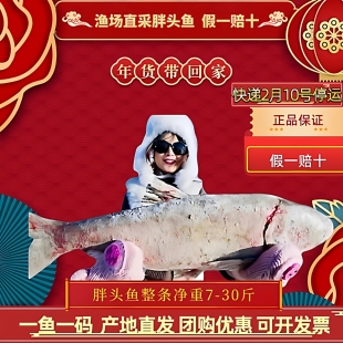 松原冬捕胖头鱼查干湖水域直采一鱼一码假一赔十年货礼盒7-30斤